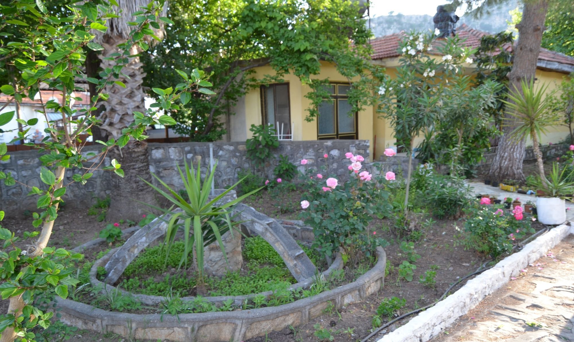 Dalyan Patio Hotel Esterno foto